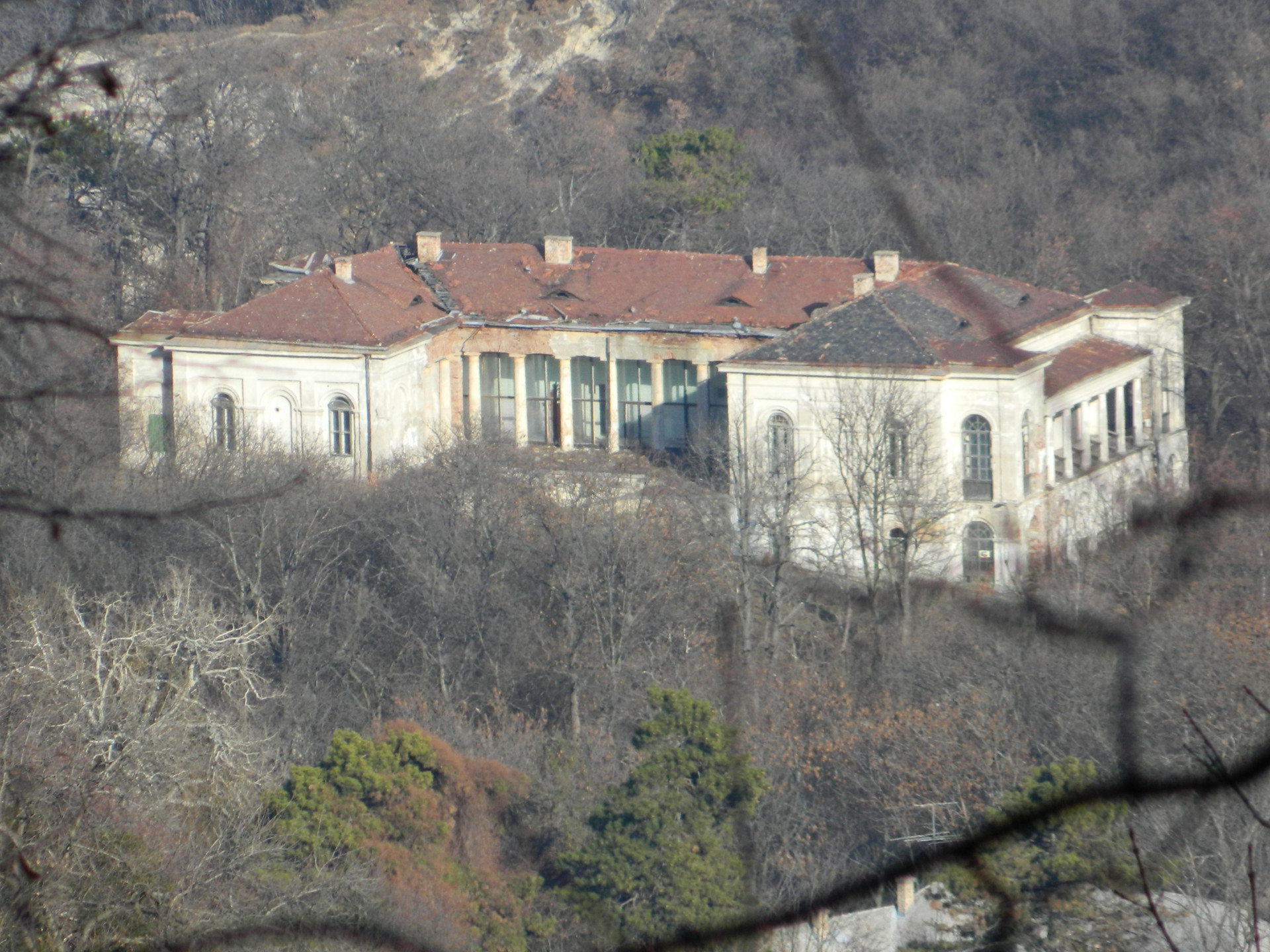 fácános wikimedia