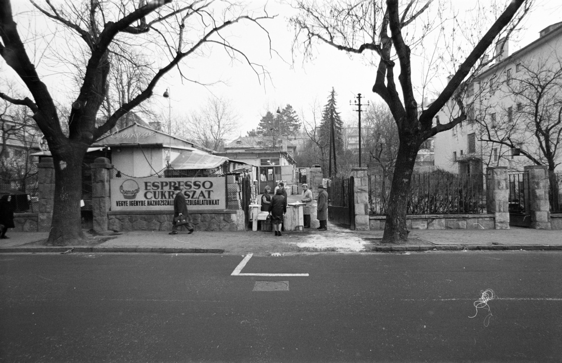 Pasaréti út 133., a Csemege Vállalat házhoz szállítási szolgálatának telephelye, 1972