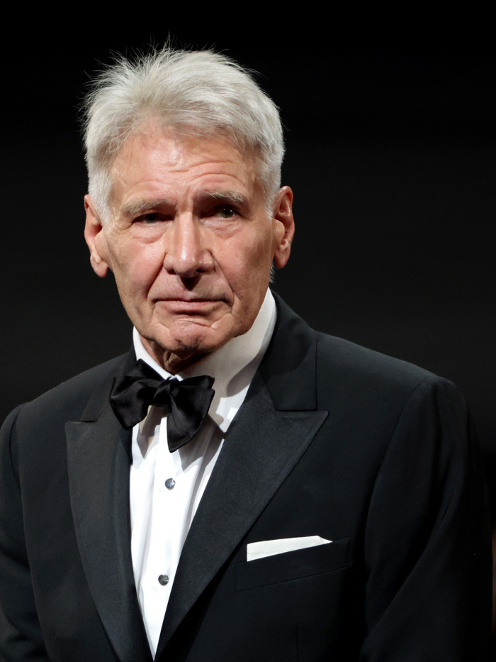 Harrison Ford ezzel a civil munkával tartotta el a családját, amikor nem kapott szerepeket