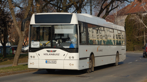 Szekszárdi vegyesvágott