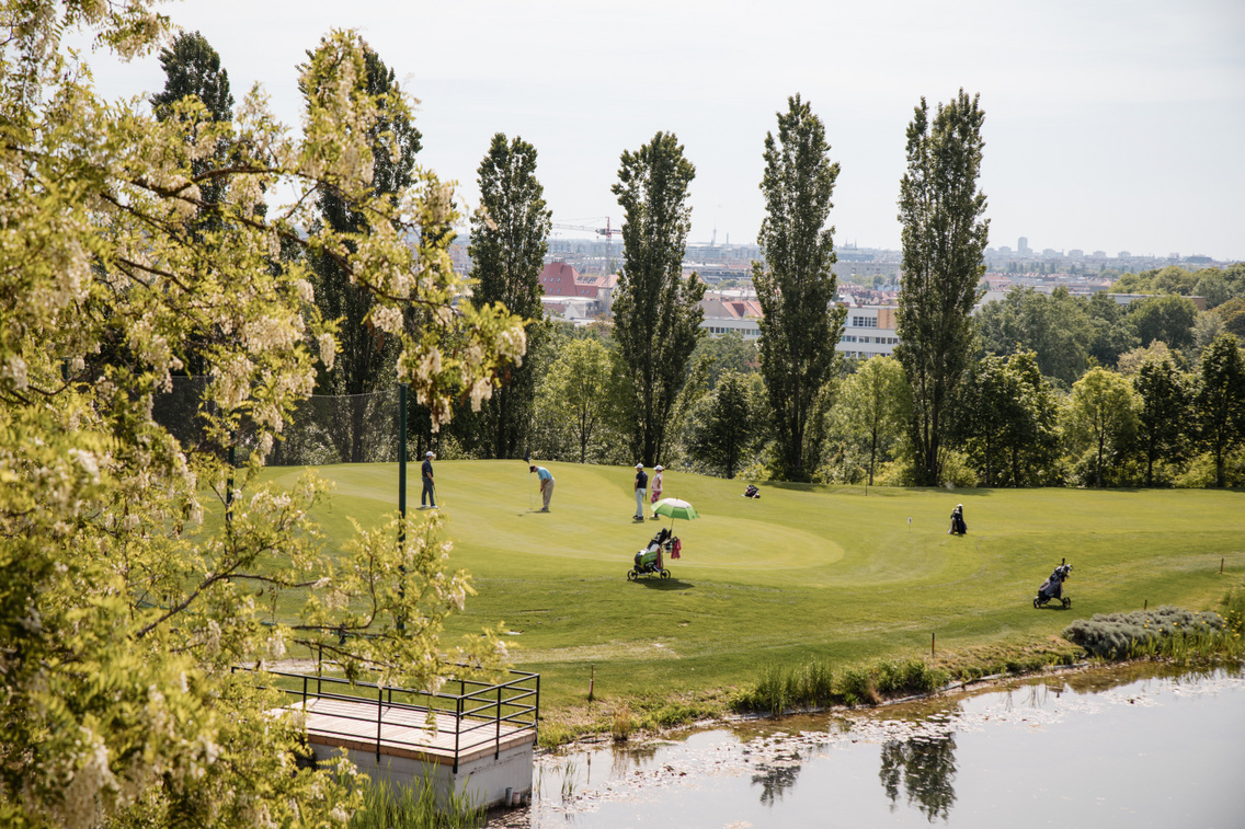 Golf-186