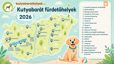 Mi a helyzet a kutyabarát strandokkal?