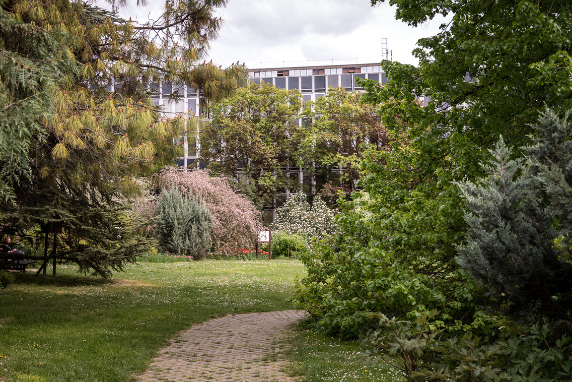 budai-arboretum juhasz-norbert 20160418