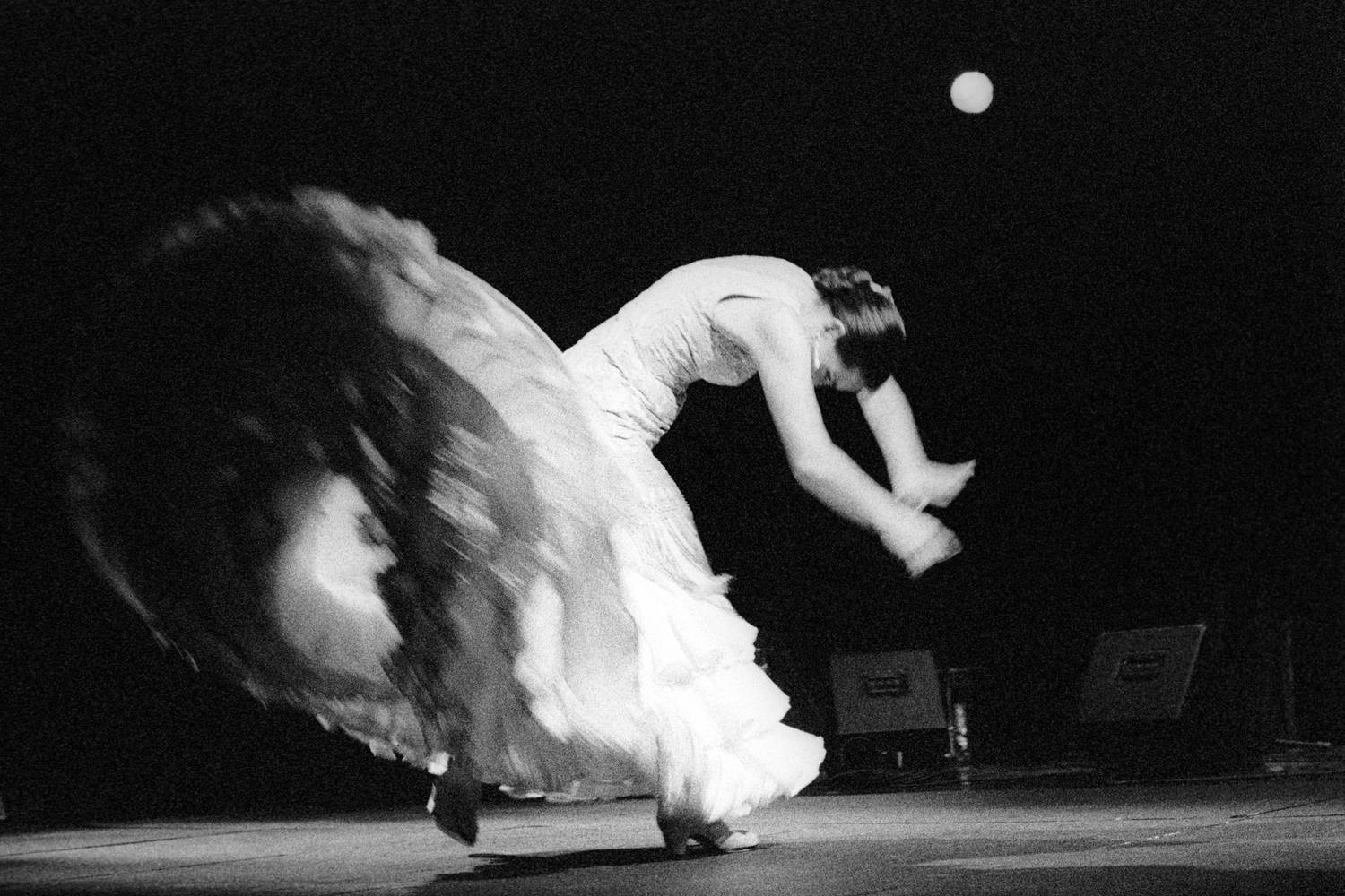 flamenco (3)