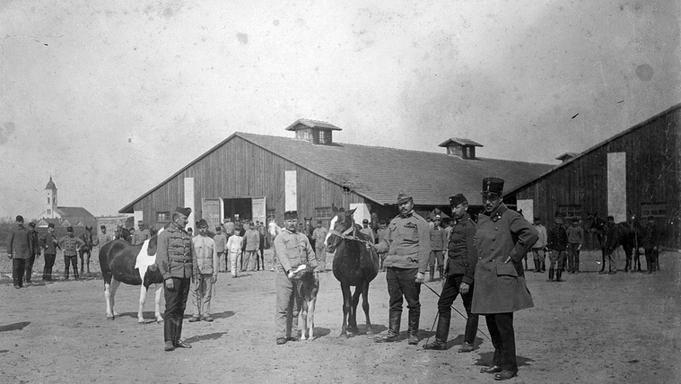 A hajdani véres lázadás helyszínét ma rózsalugas díszíti