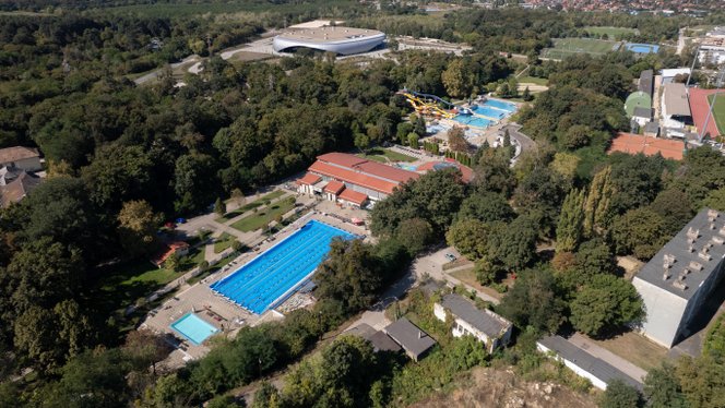 Bezárták a tatabányai uszodát, miután egy vadmalac fulladt a medence vizébe