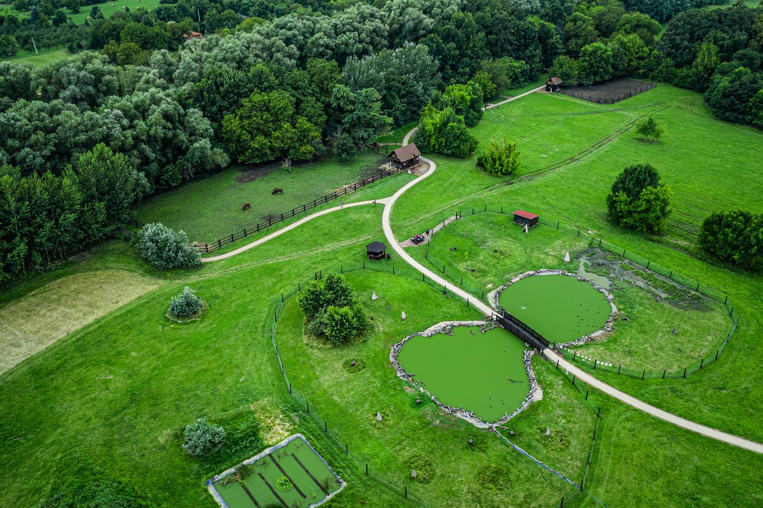 Szarvas Körösvölgyi Állatpark