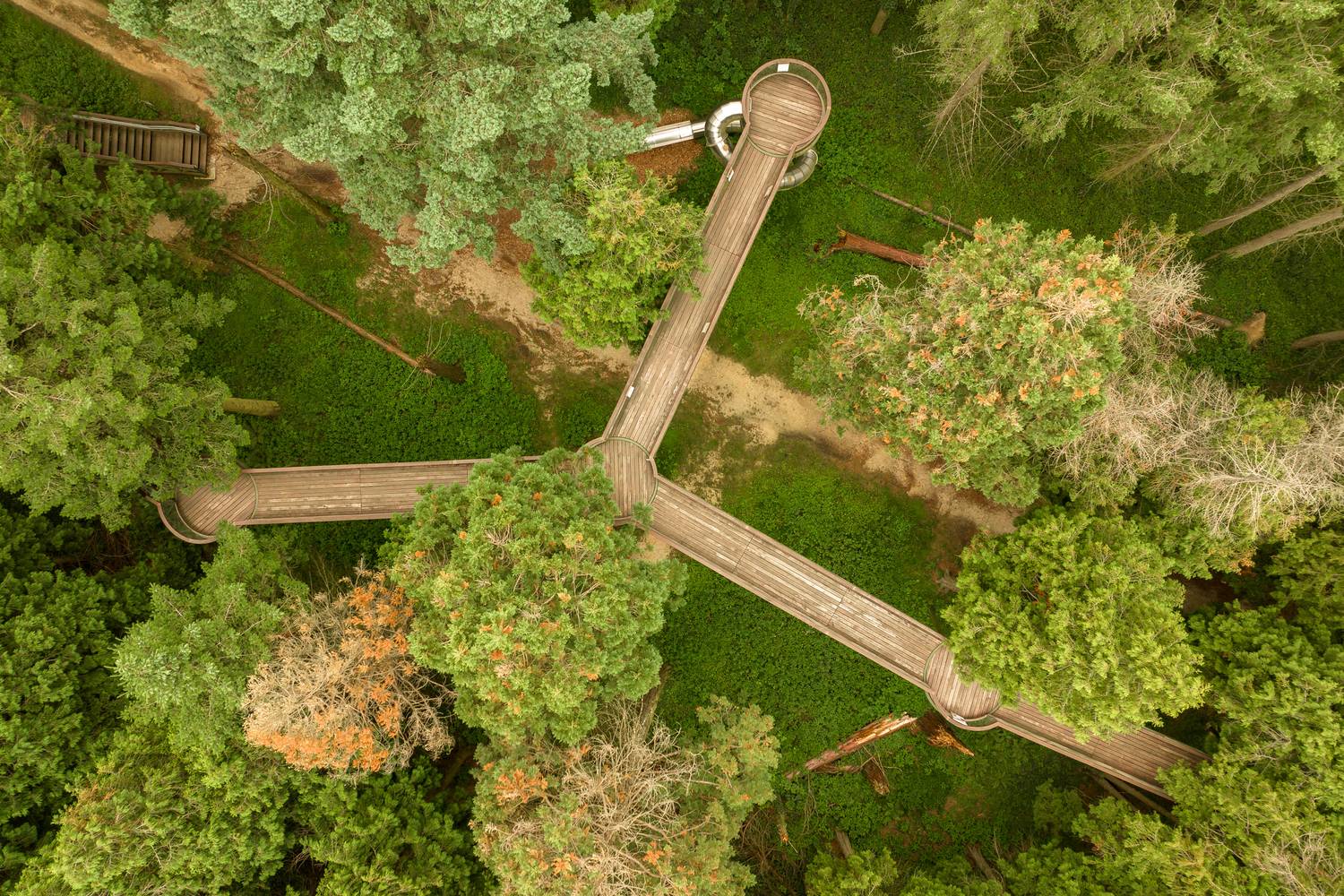 Jeli Arborétum lombkorona sétány