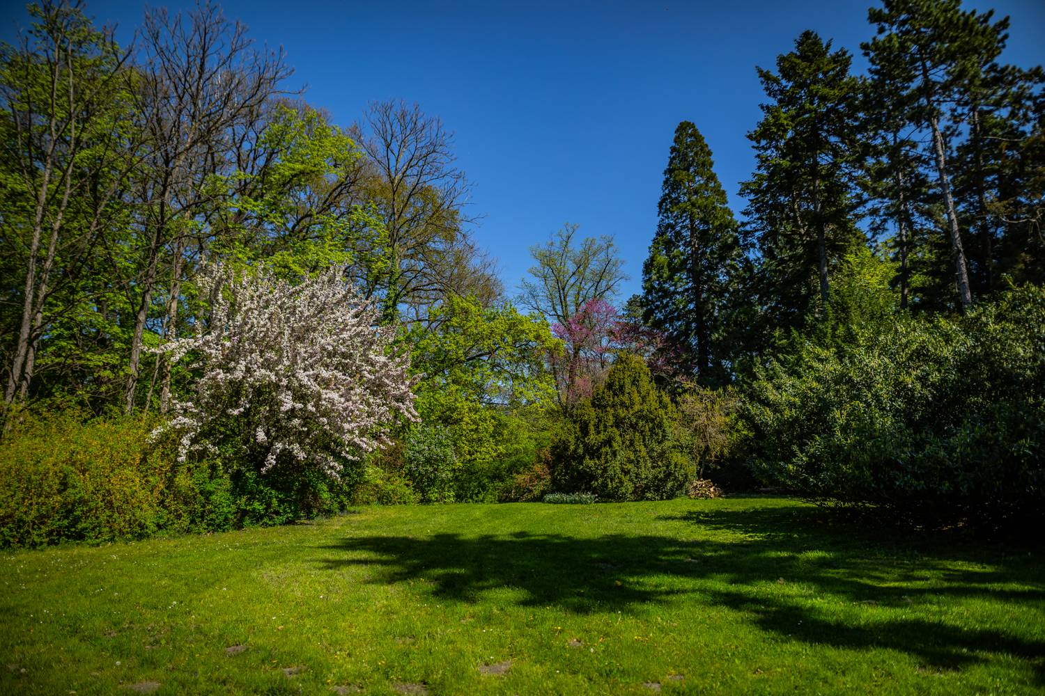 Szarvasi Arborétum