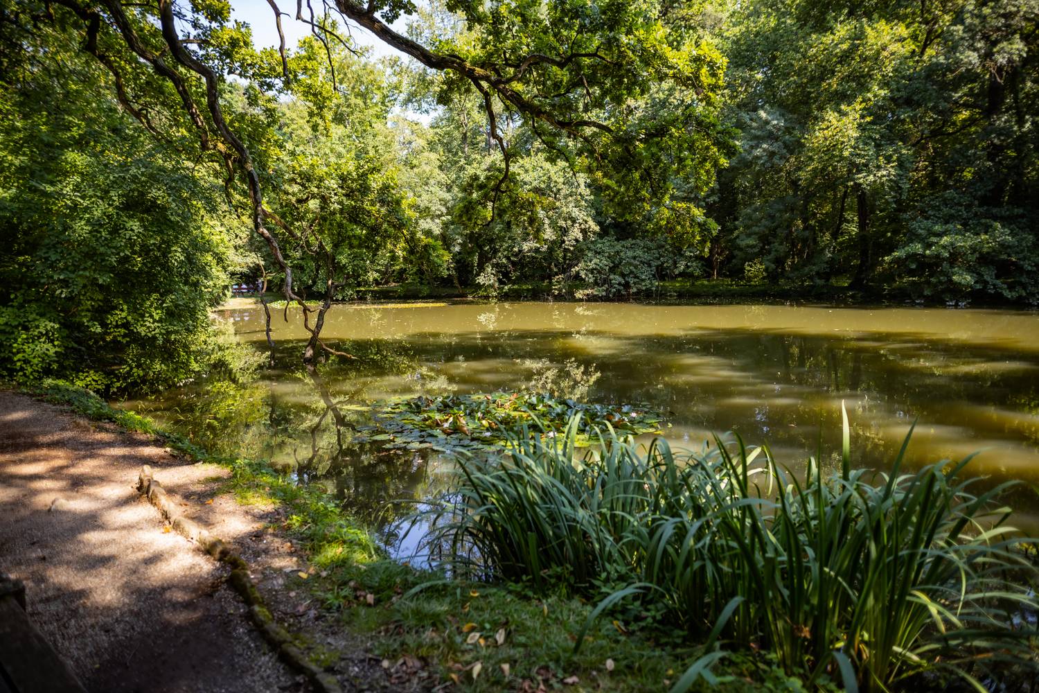 Sárvári Arborétum