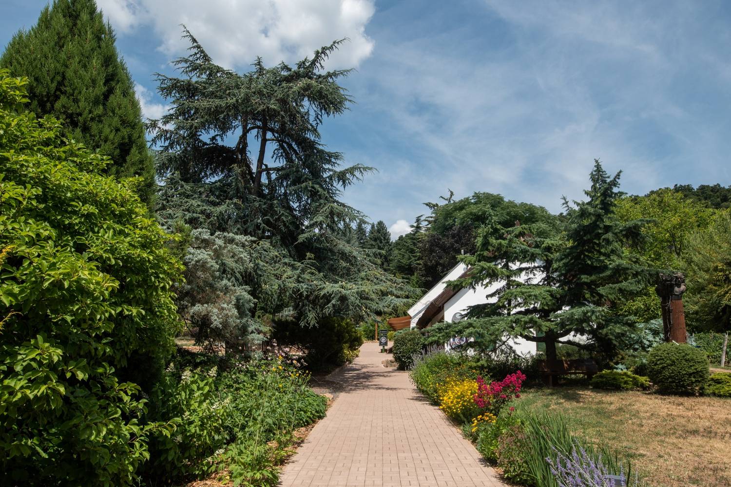 Folly Arborétum