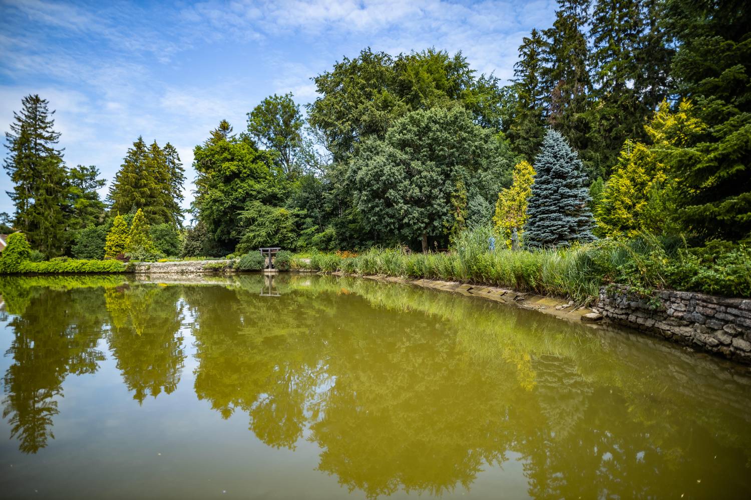Zirci Ciszterci Arborétum