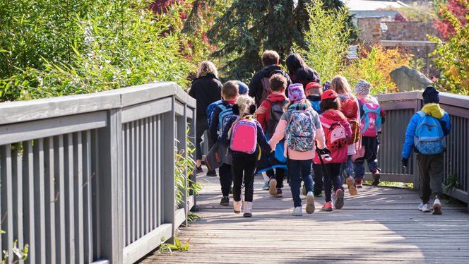 Milliókat vehetnek el a&nbsp;gyerekektől, avagy így működik a Határtalanul Program a színfalak mögött