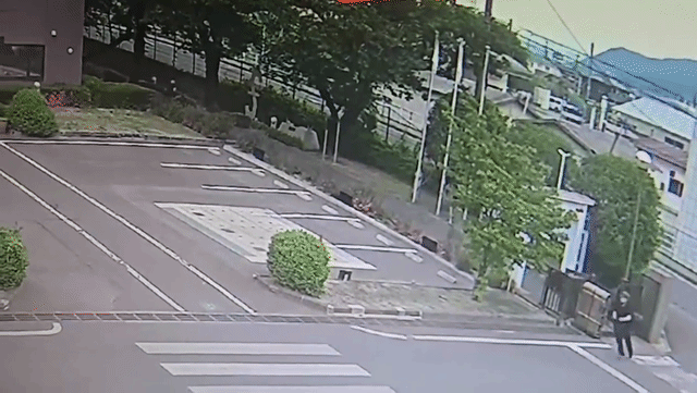 Szökésben van egy intelligens medve Japánban, négy embert már megtámadott