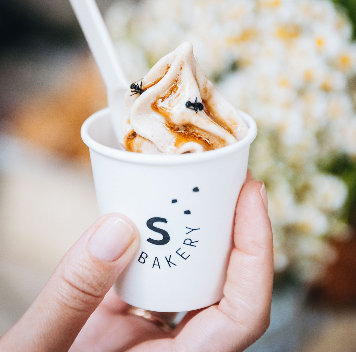 Hangyás fagyi a SALT Bakerynél