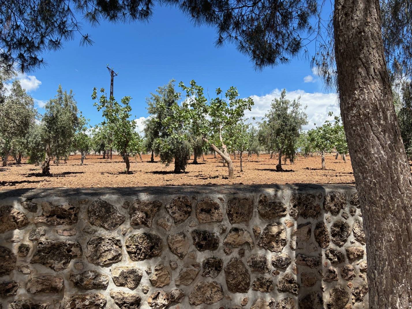 torokorszag-mardin-latnivalok