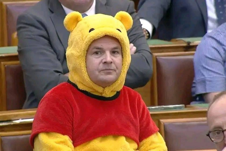 Csacsi, öreg medvévé változtatta Németh Balázst a mémgyár, és még a könyvdaráló is előkerült