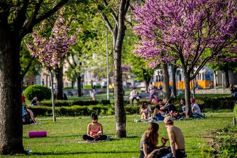 5+1 solo dates to take yourself on in Budapest this summer