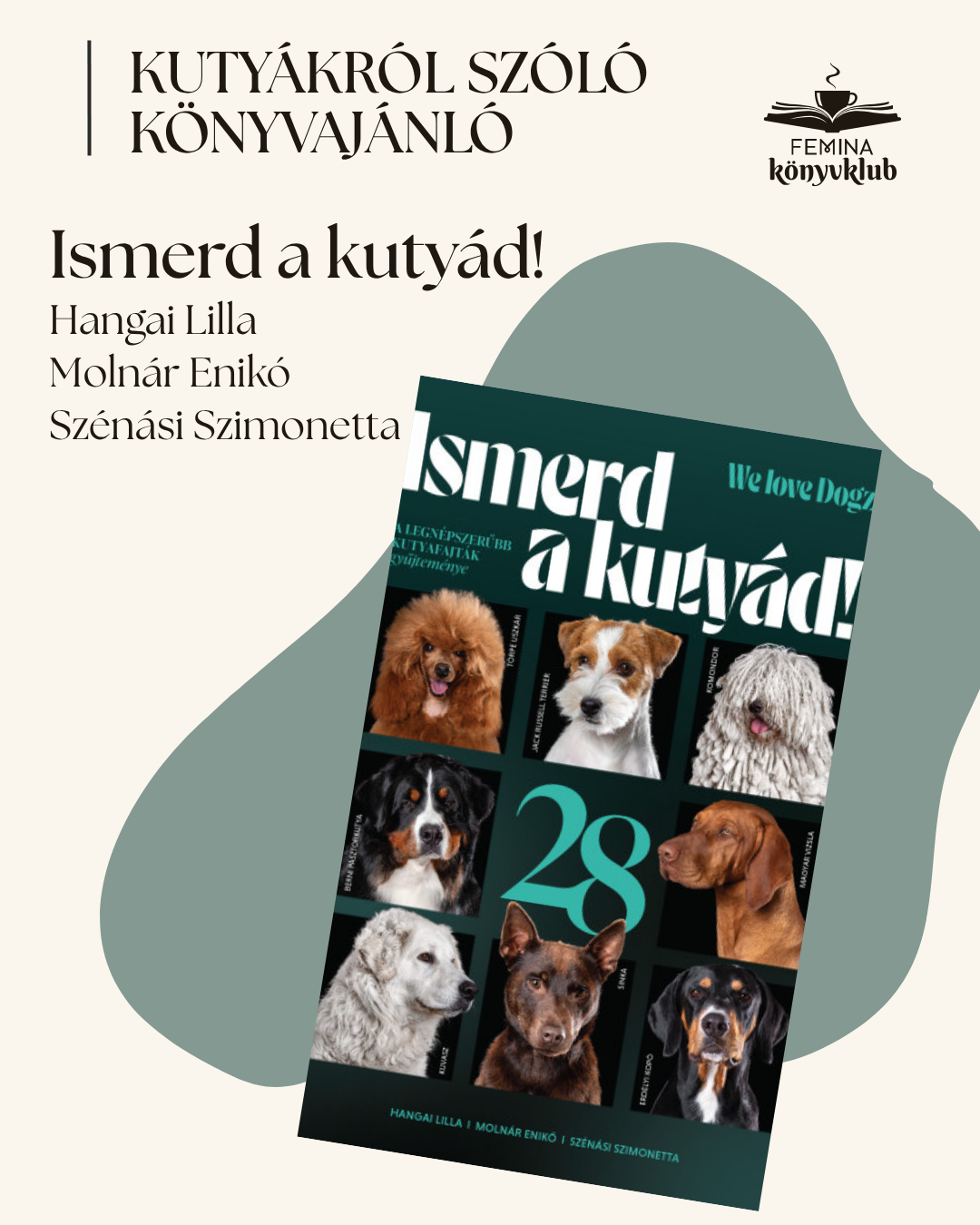 kutya(16).png