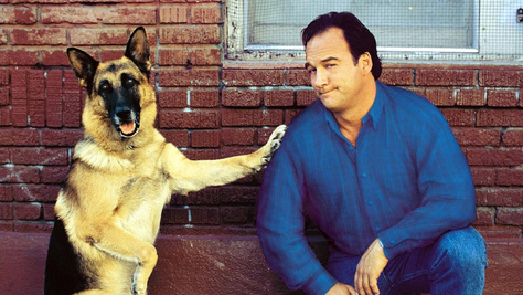 James Belushi volt a Kutyám, Jerry Lee sztárja: 71 évesen így néz ki ma