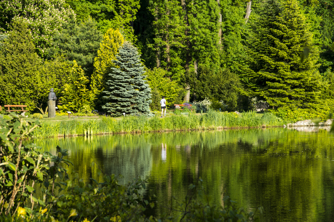 zirci-arboretum korosi-tamas 20160519