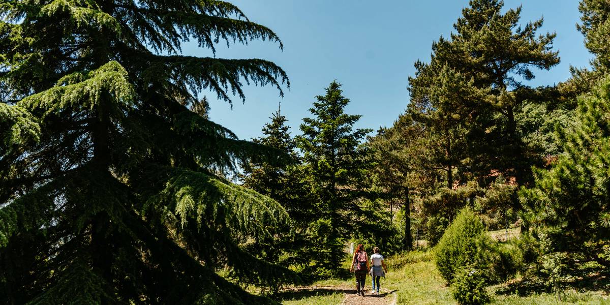 3 arborétum, amelyet érdemes felkeresni, ha a Balatonnál járunk
