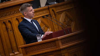 Nincs gond! Magyar Péter fogja kijelölni a magyarországi menekülttáborokat