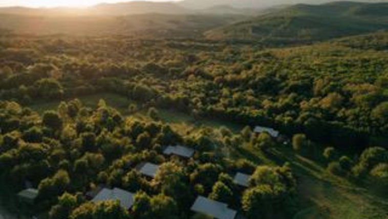 Kutyabarát szállást teszteltünk - ilyen a ZAMA Forest Resort