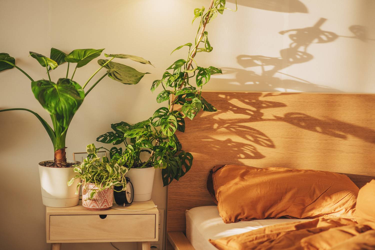 GettyImages-1396570805