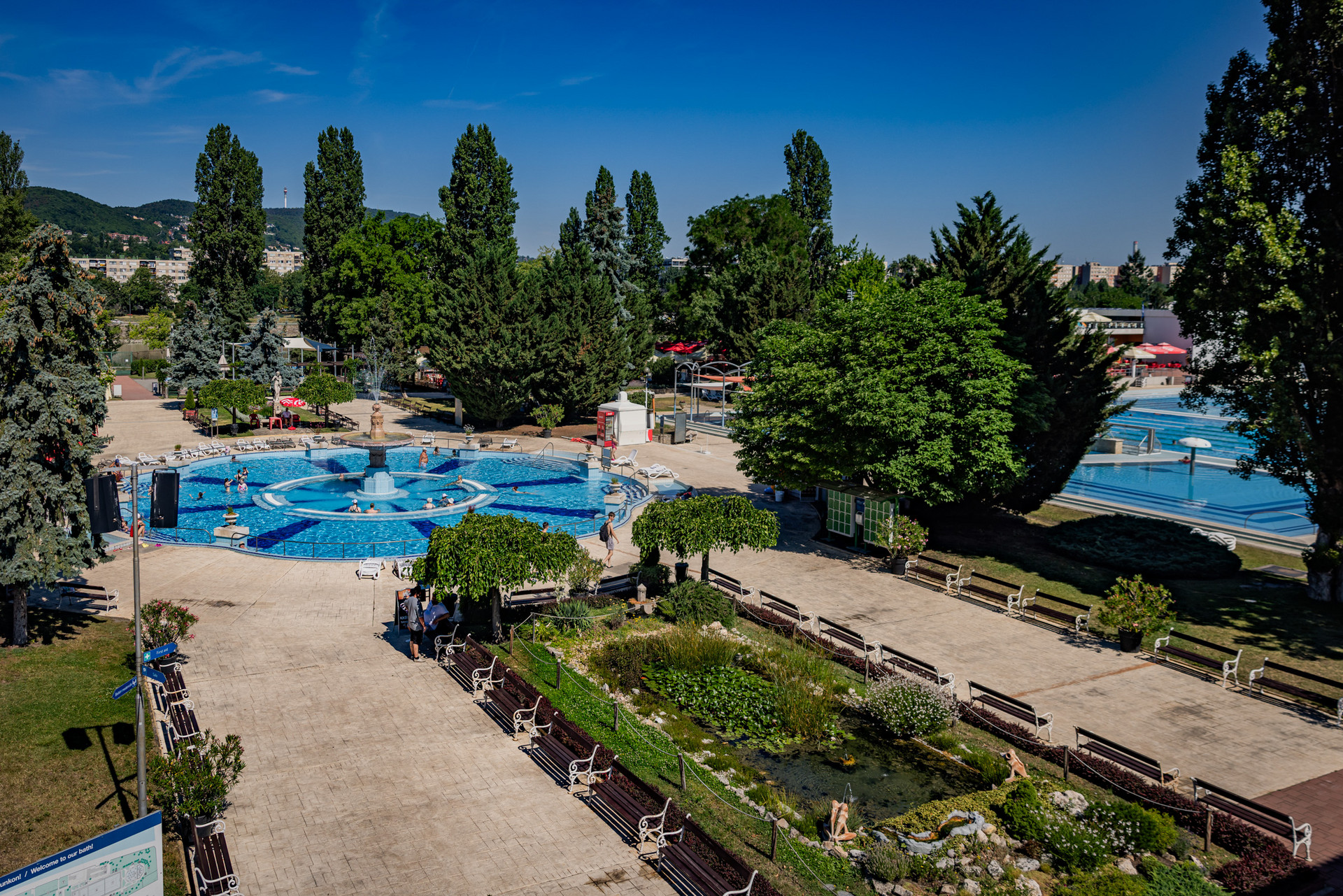Palatinus 20260619 Szabó Gábor 064