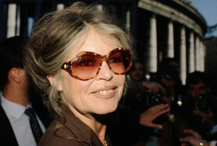 Brigitte BardotBrigitte Bardot a francia film egyik legnagyobb ikonja volt