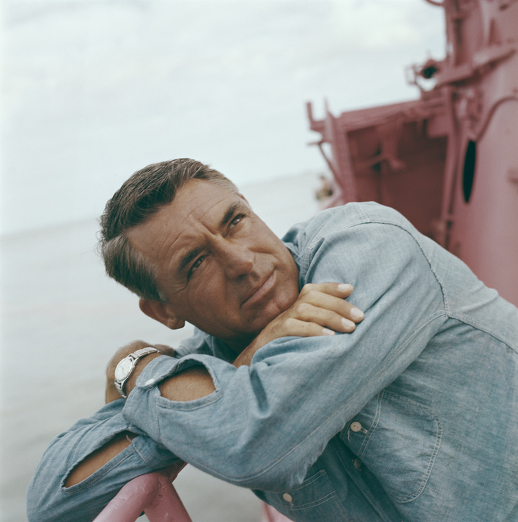 Cary GrantCary Grant a régi Hollywood egyik legnagyobb férfisztárja volt