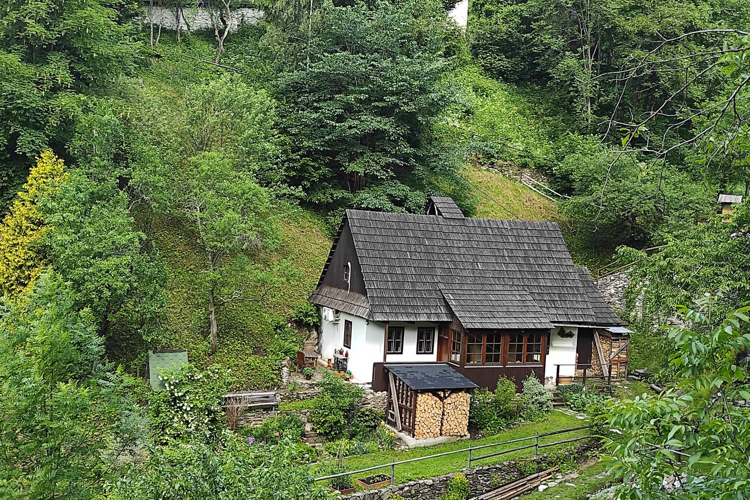 úrvölgy (25)