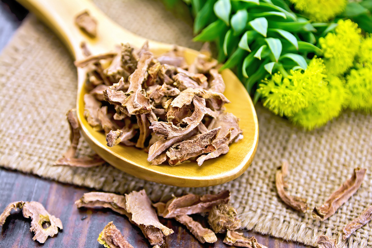 Rhodiola roseaA rhodiola, vagyis aranygyökér az adaptogén gyógynövények közé tartozik