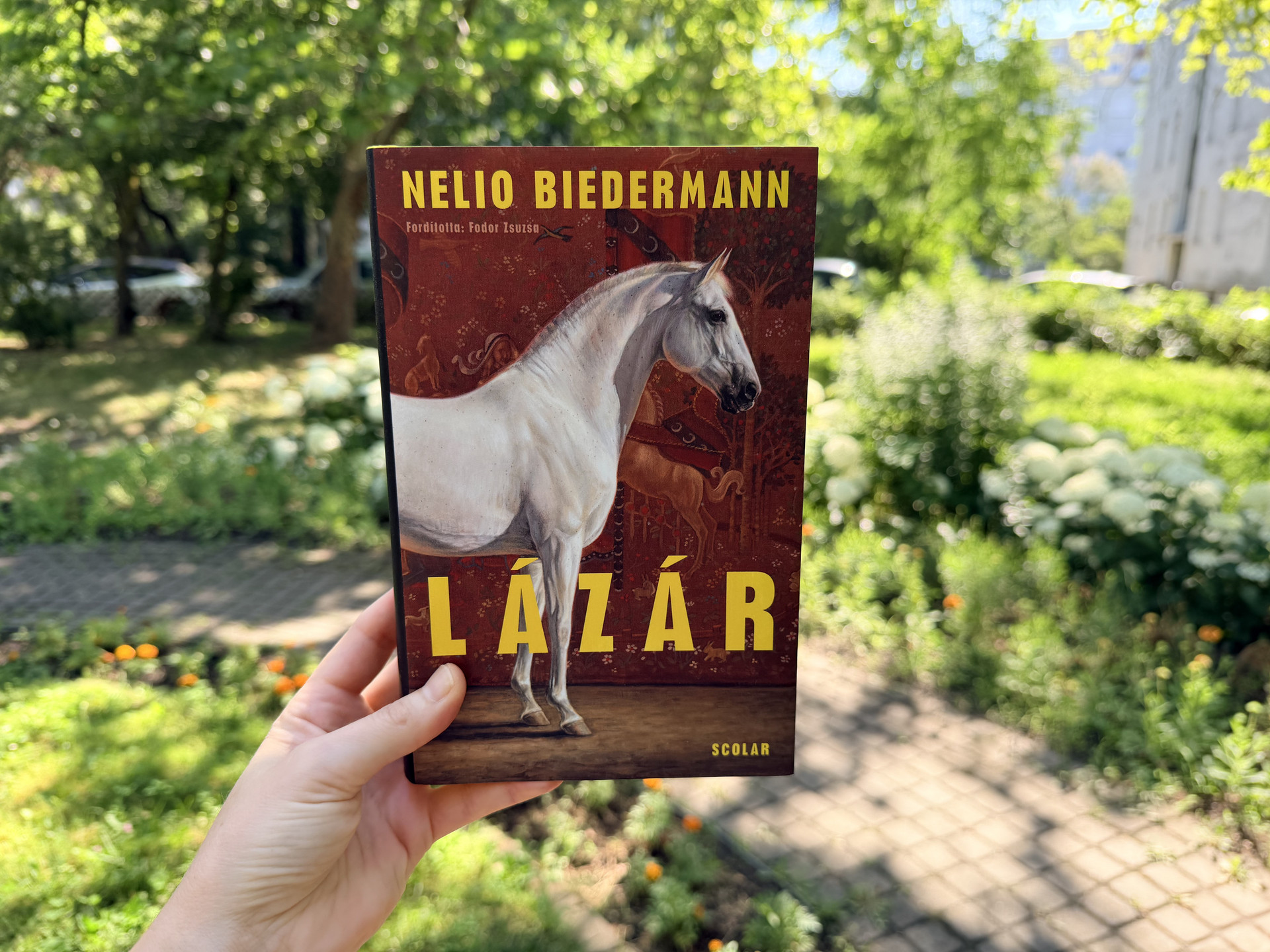 nyari konyvek 2026 7