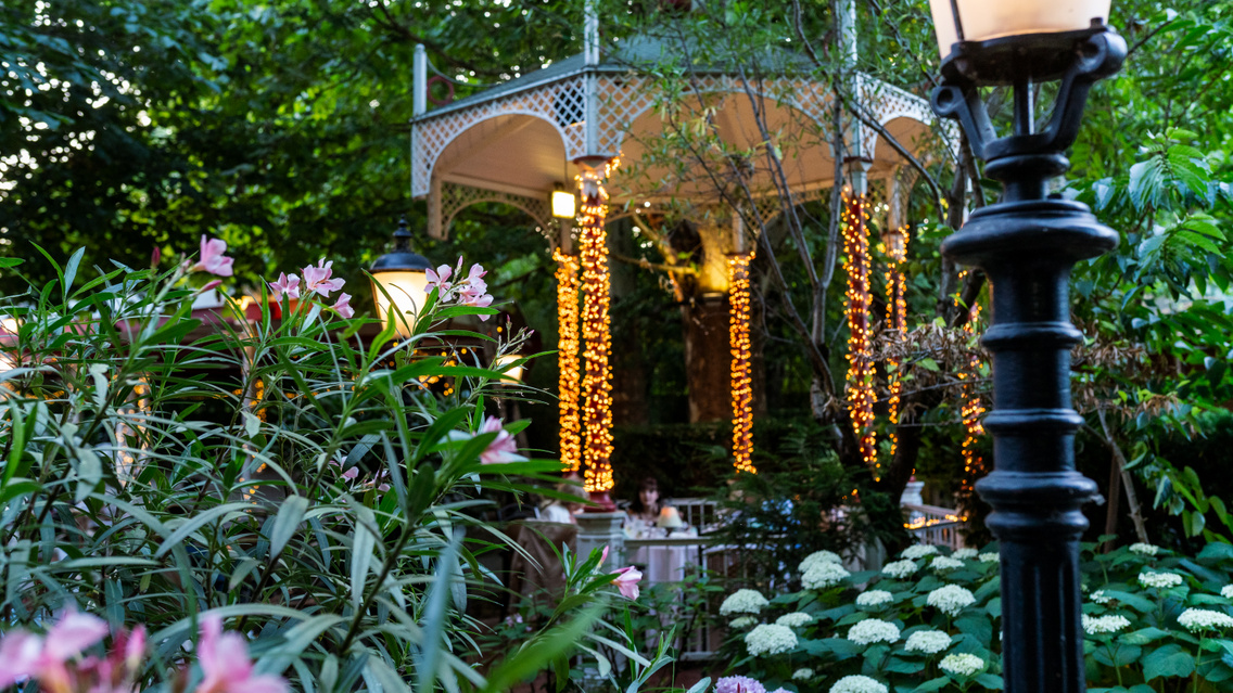 Gundel garden picture 13 (1)