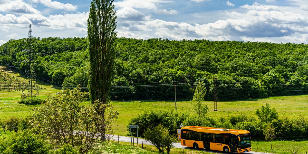 Július 1-től több helyi buszra is érvényes lesz a Balaton24 napijegy