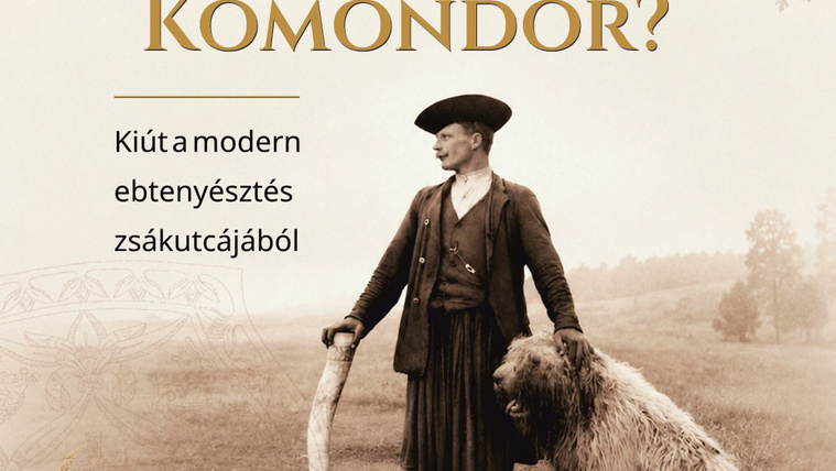 „Hogyan tovább komondor?” – Zsákutca komondortenyésztés?