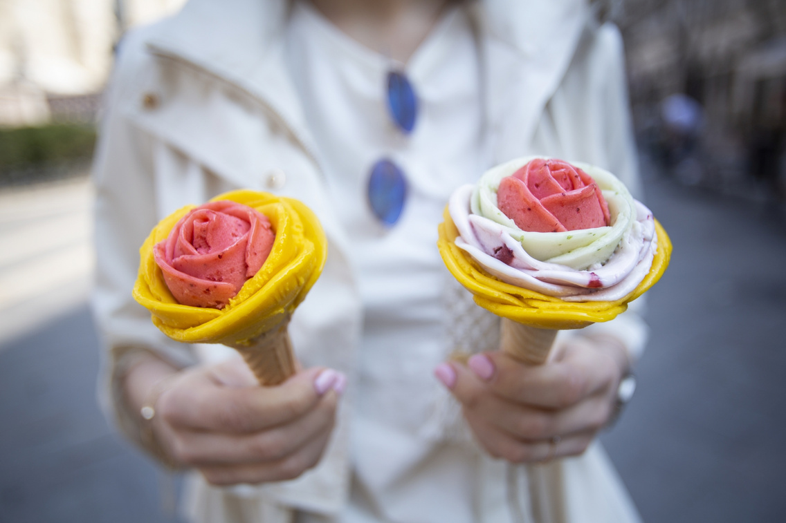gelarto-rosa-1