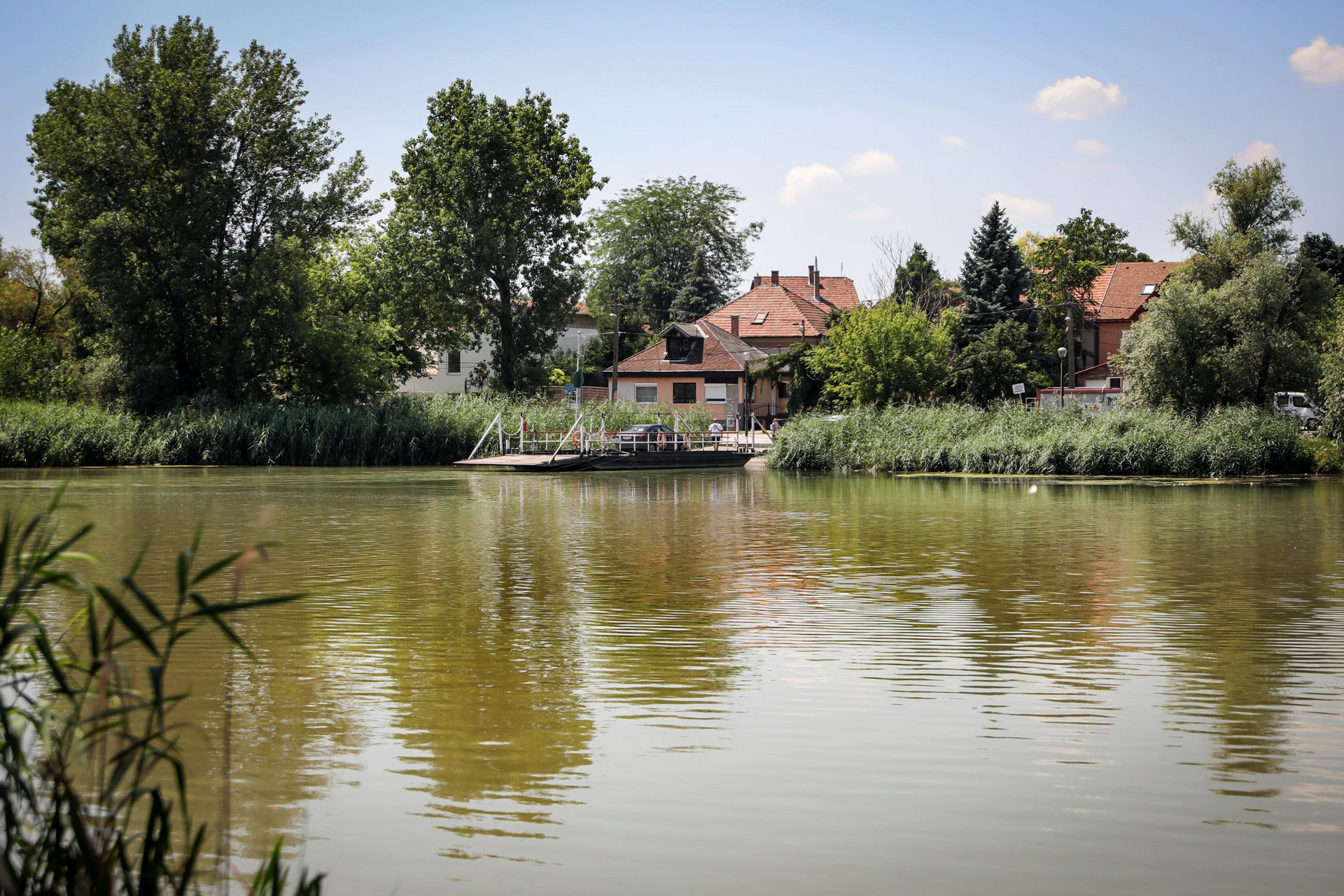Molnár-sziget