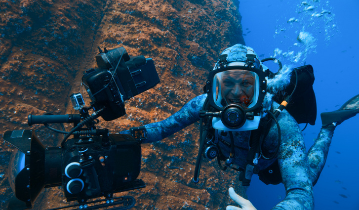 HammerheadSharksUpClose UHD 03