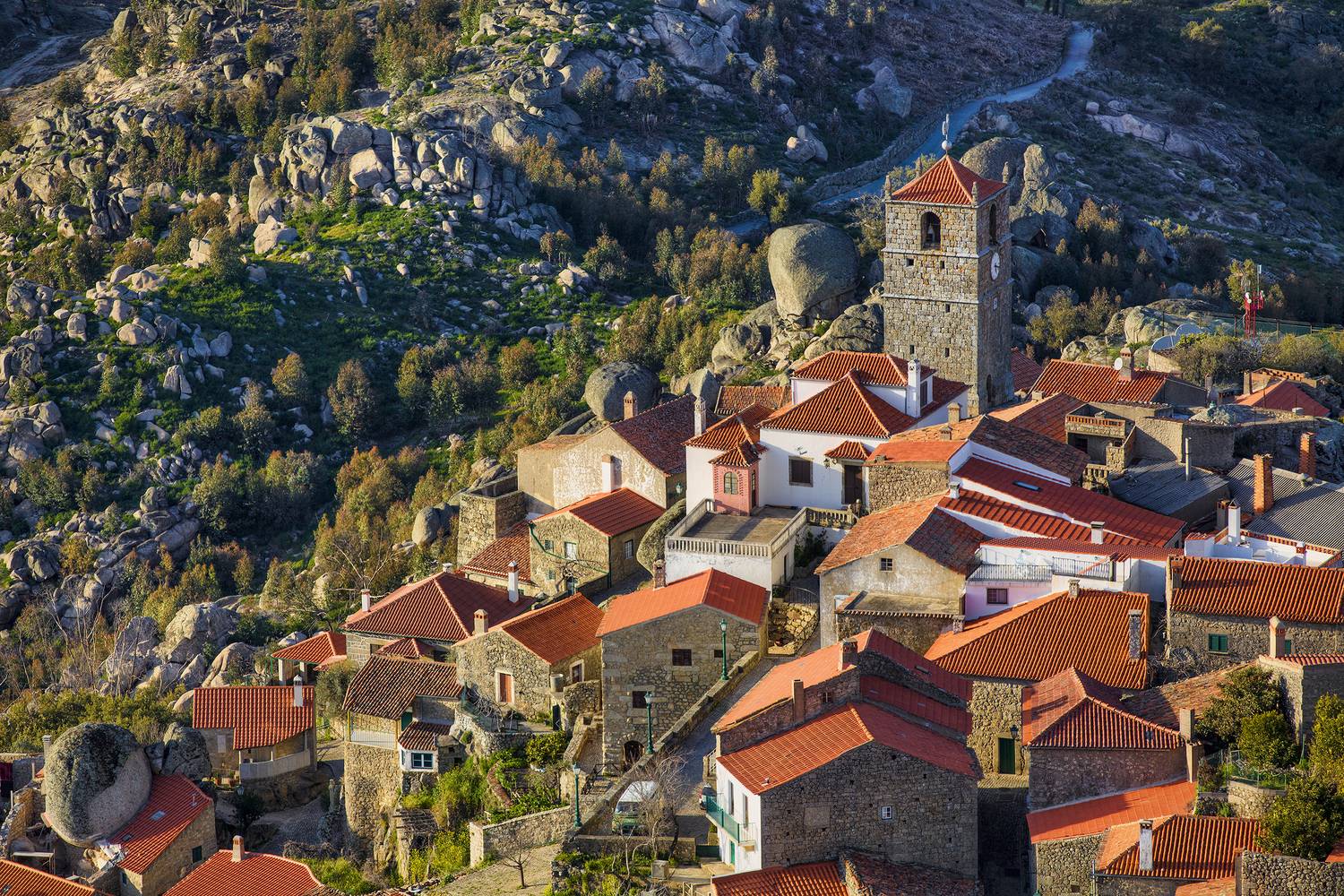 monsanto portugália (2)