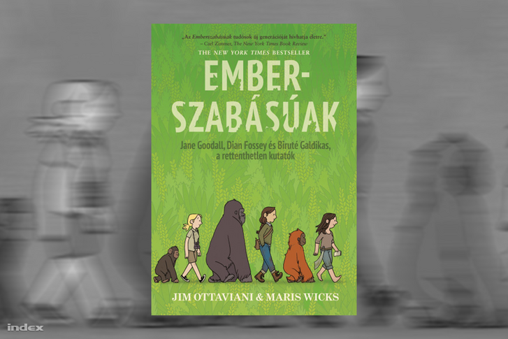 Jim Ottoviani, Maris Wicks - Emberszabásúak