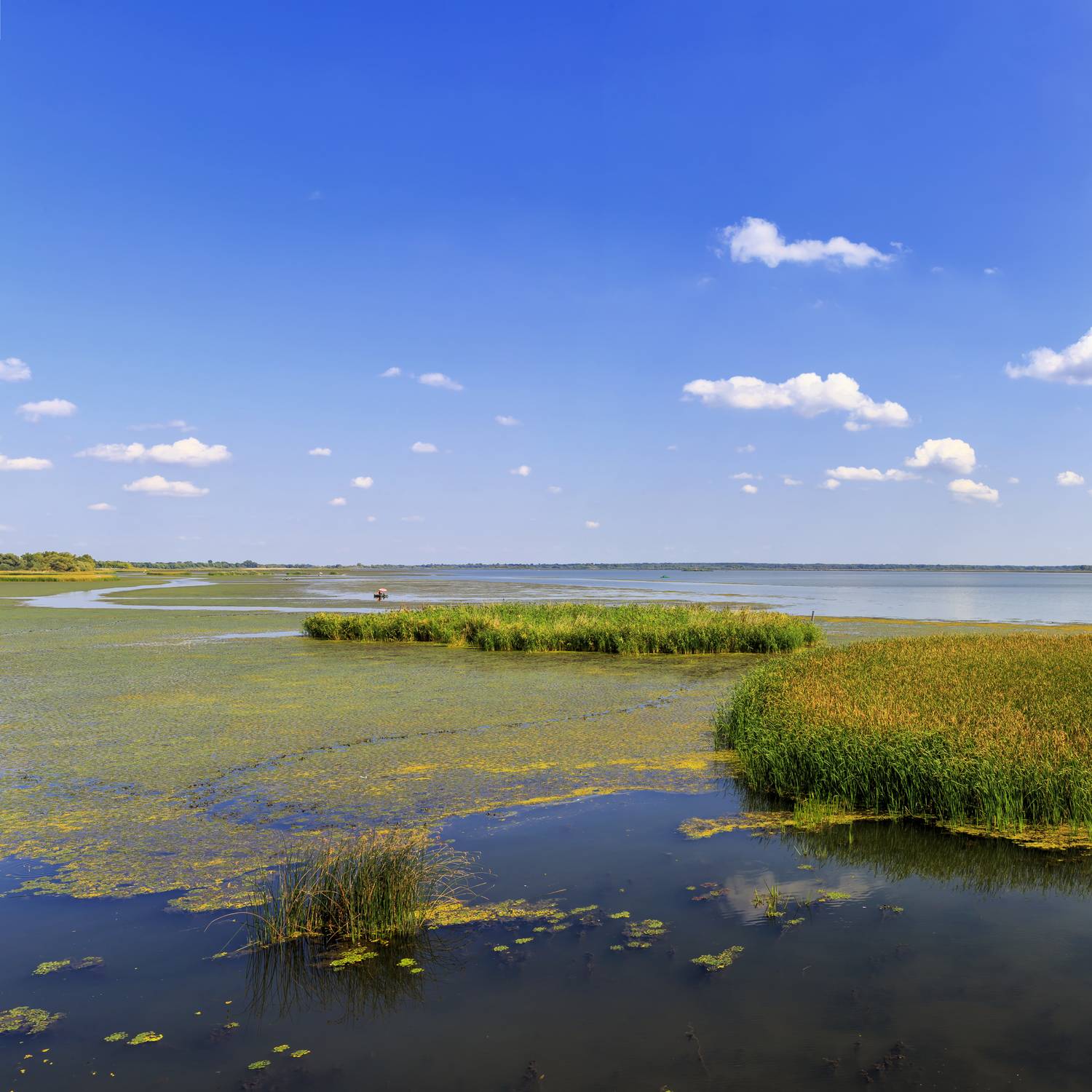 tisza-tó (3)