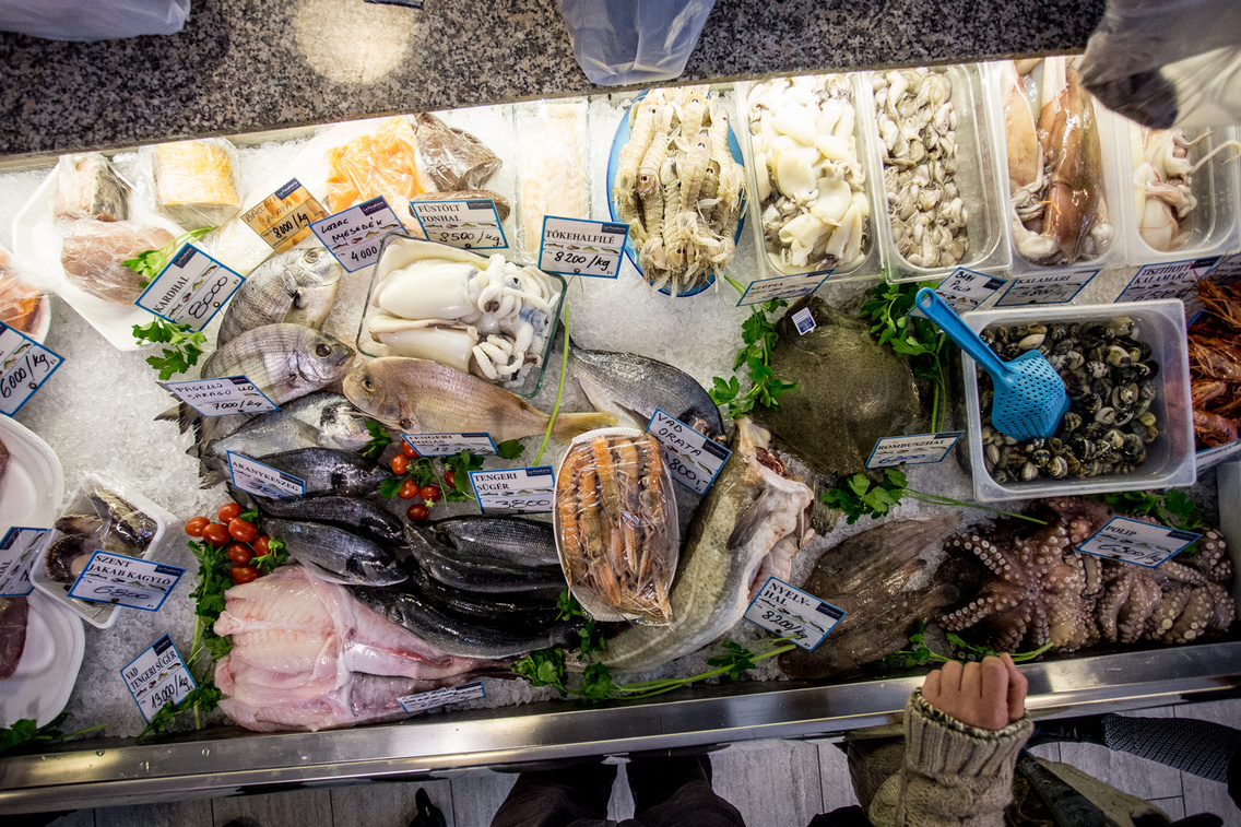 pescheria balkanyi-laszlo 20151222