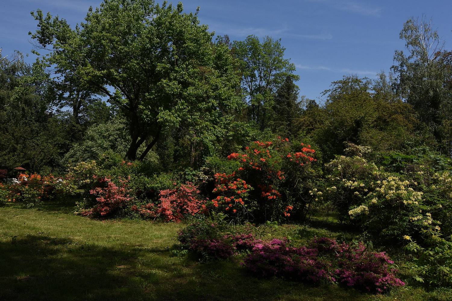 Kámoni Arborétum Szombathely 1