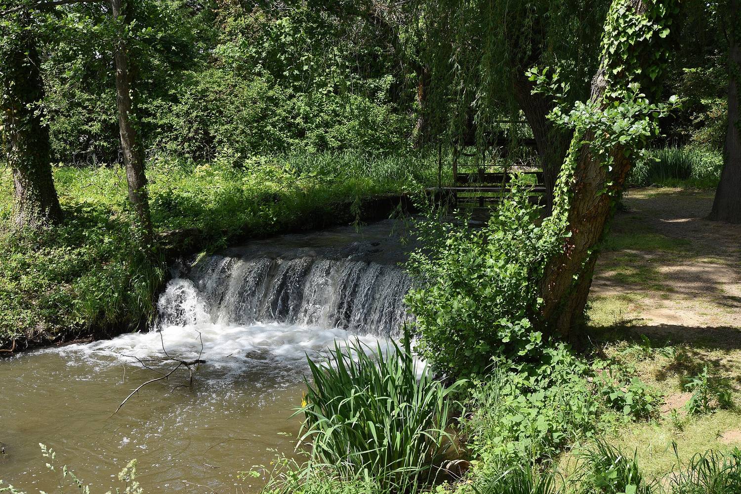 Kámoni Arborétum Szombathely