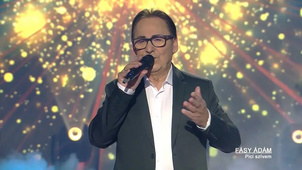 A hazai televíziózás legpusztítóbb jelenségei 5.: Fásy Mulató
