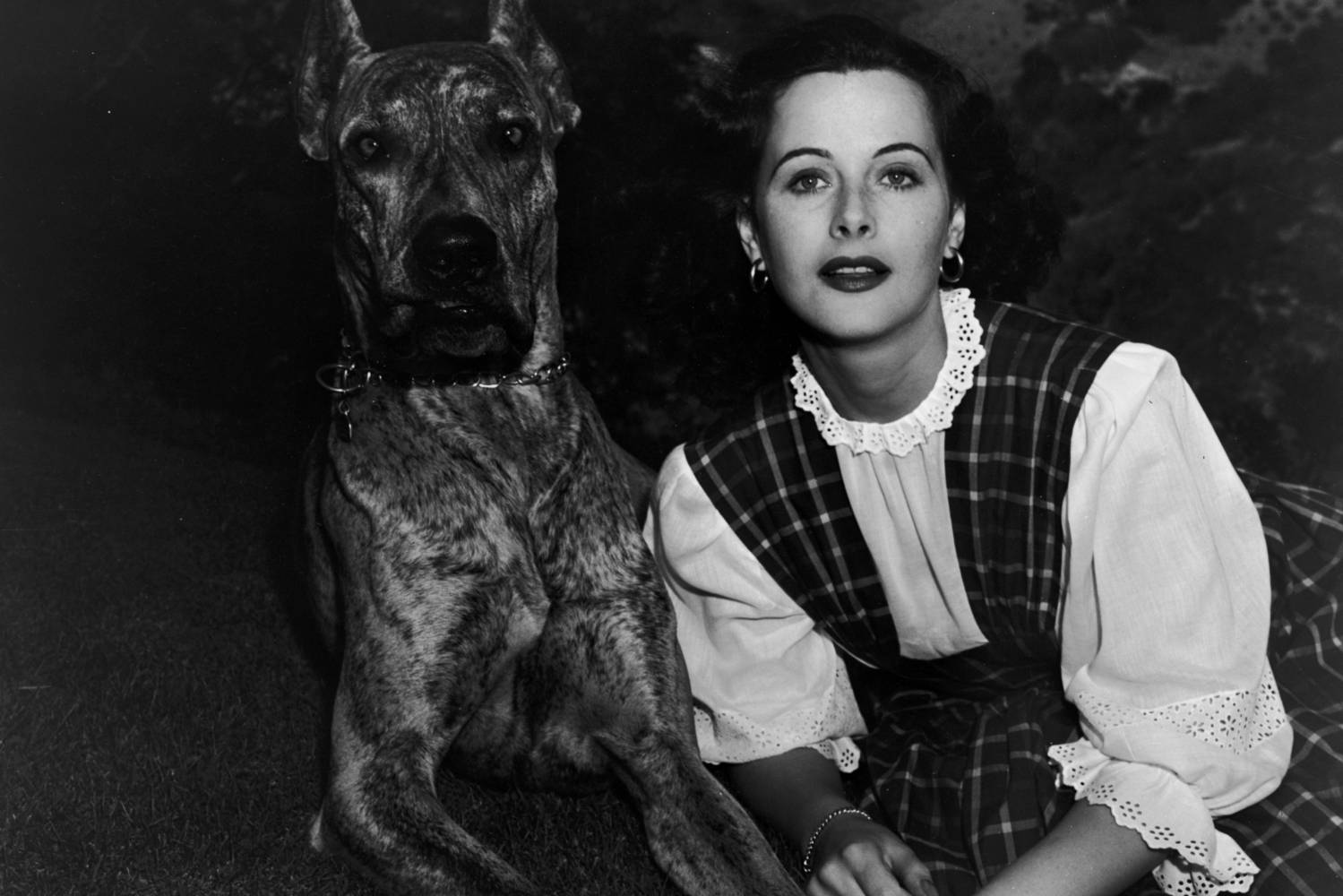 hedy lamarr (2)