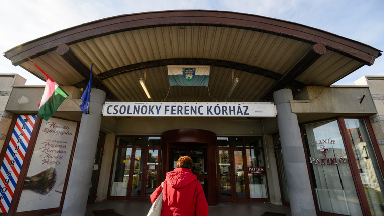 Ágyi poloskák miatt kellett kiüríteni a veszprémi kórház gyermekágyas részlegét